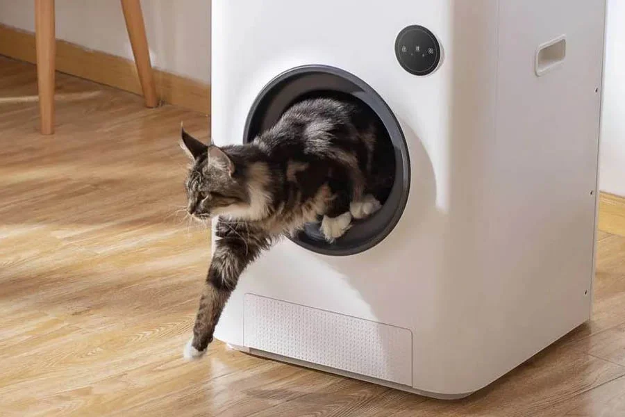 electric litterbox