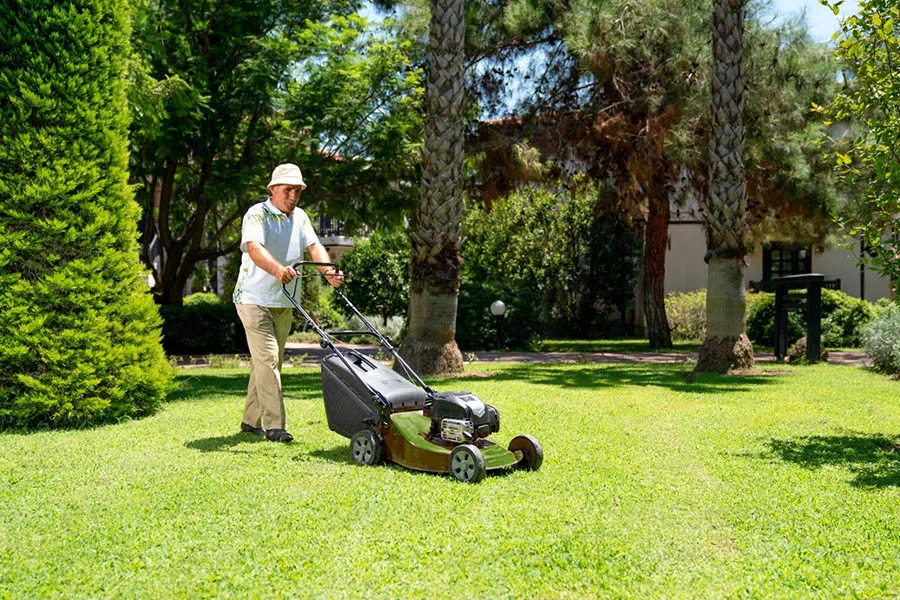 battery powered push lawn mower